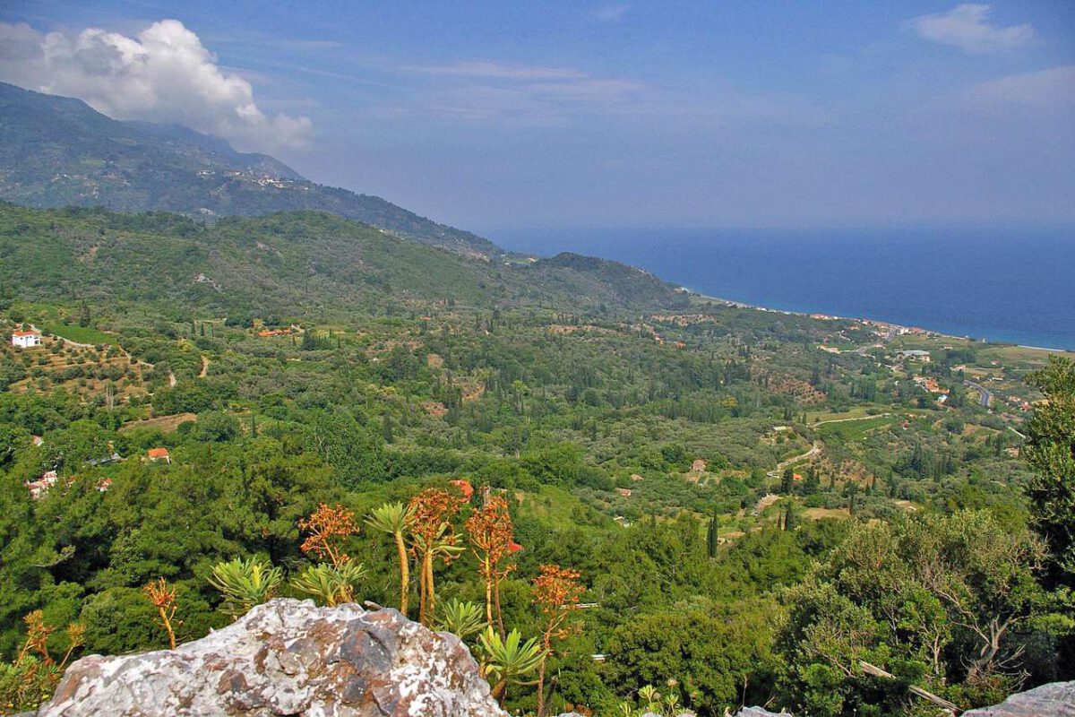 Grüne Landschaft in Küstennähe auf Samos