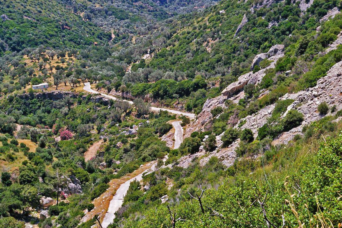 Landschaft auf Samos mit schmaler Straße