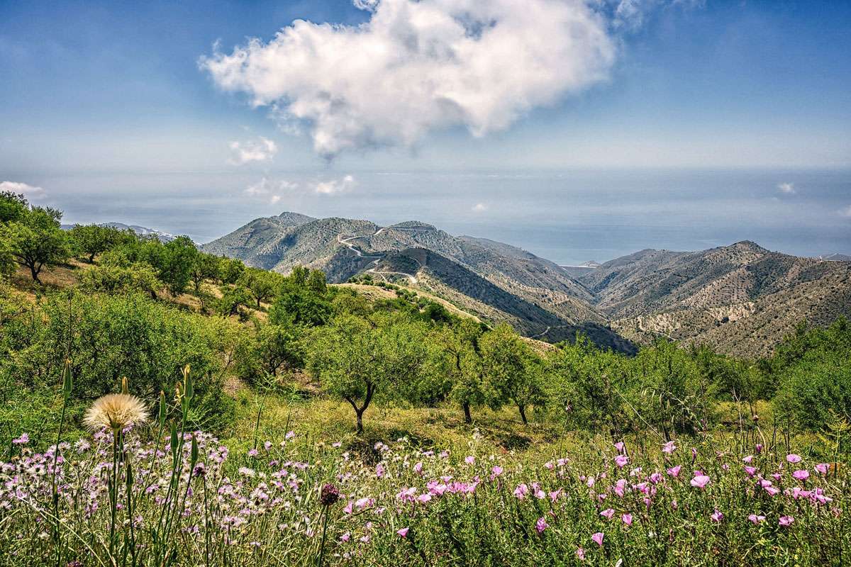 Landschaft im Gebirge in Andalusien, (c) Peter H/Pixabay