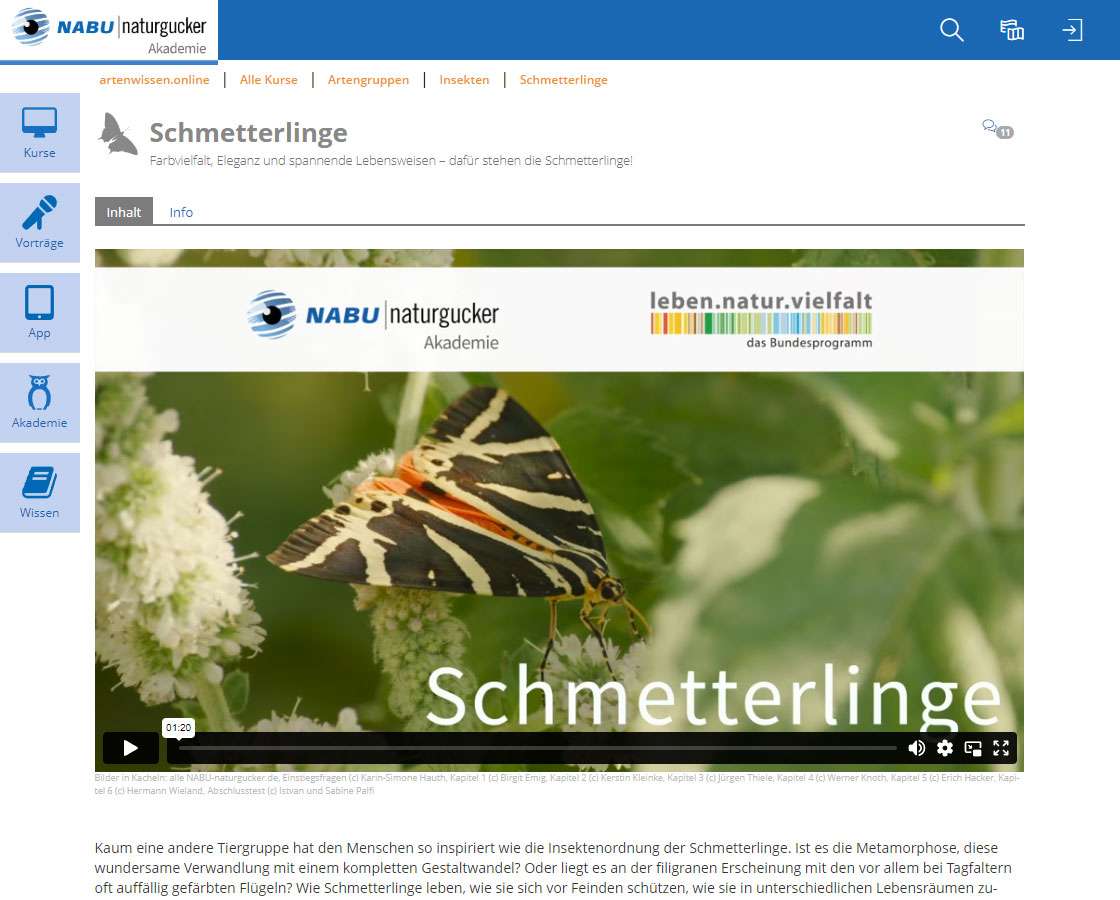 Lernthema Schmetterlinge der NABU|naturgucker-Akademie